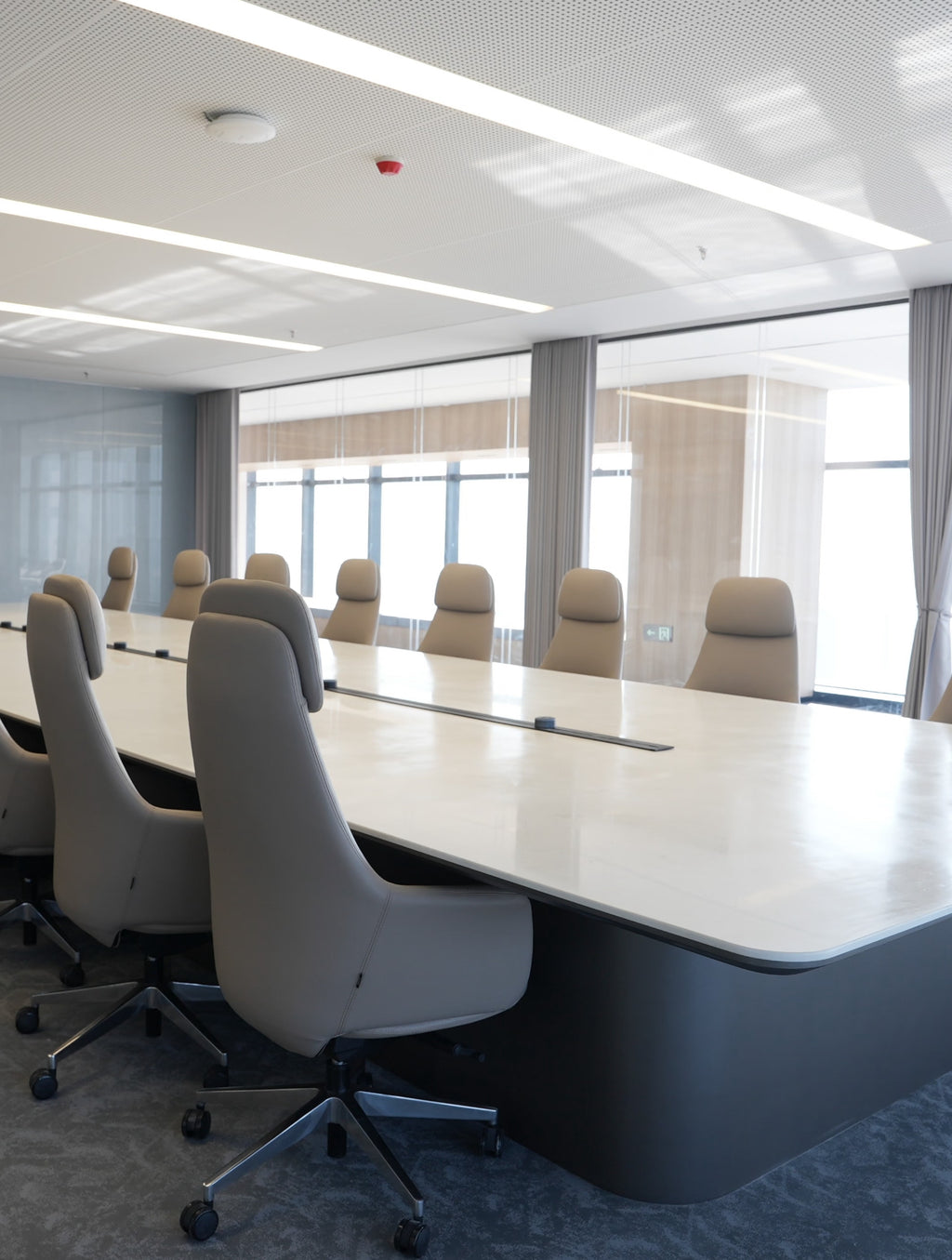 Sixteen-person luxury conference table for the group
